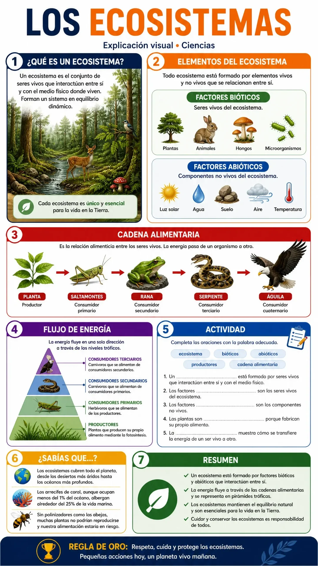Ciencias — Los Ecosistemas